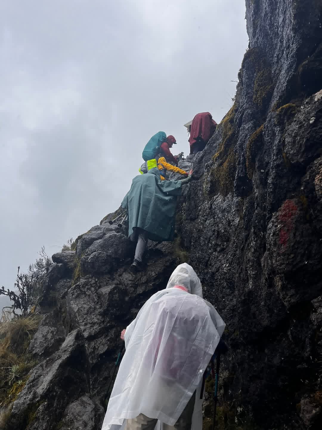 Is Mount Kilimanjaro a Technical Climb? Beginner&rsquo;s Guide by Uprise Africa Tours