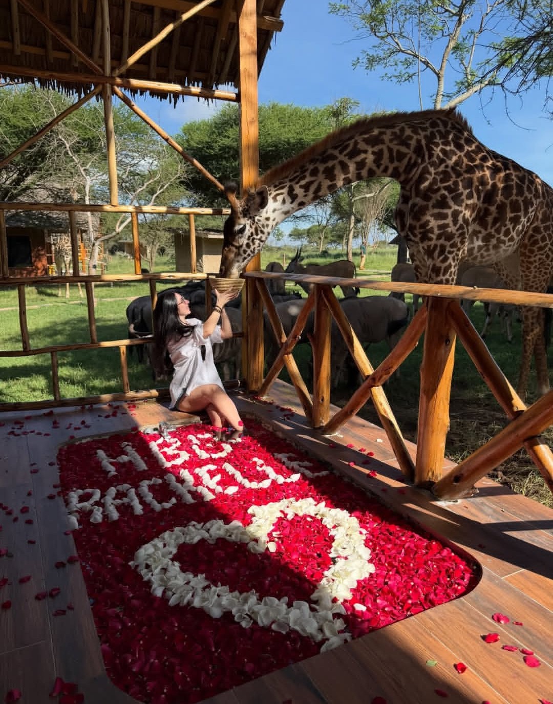 3 Day Luxury Safari Tanzania from Kilimanjaro Airport | Tarangire & Ngorongoro Crater Safari &ndash; Uprise Africa Tours