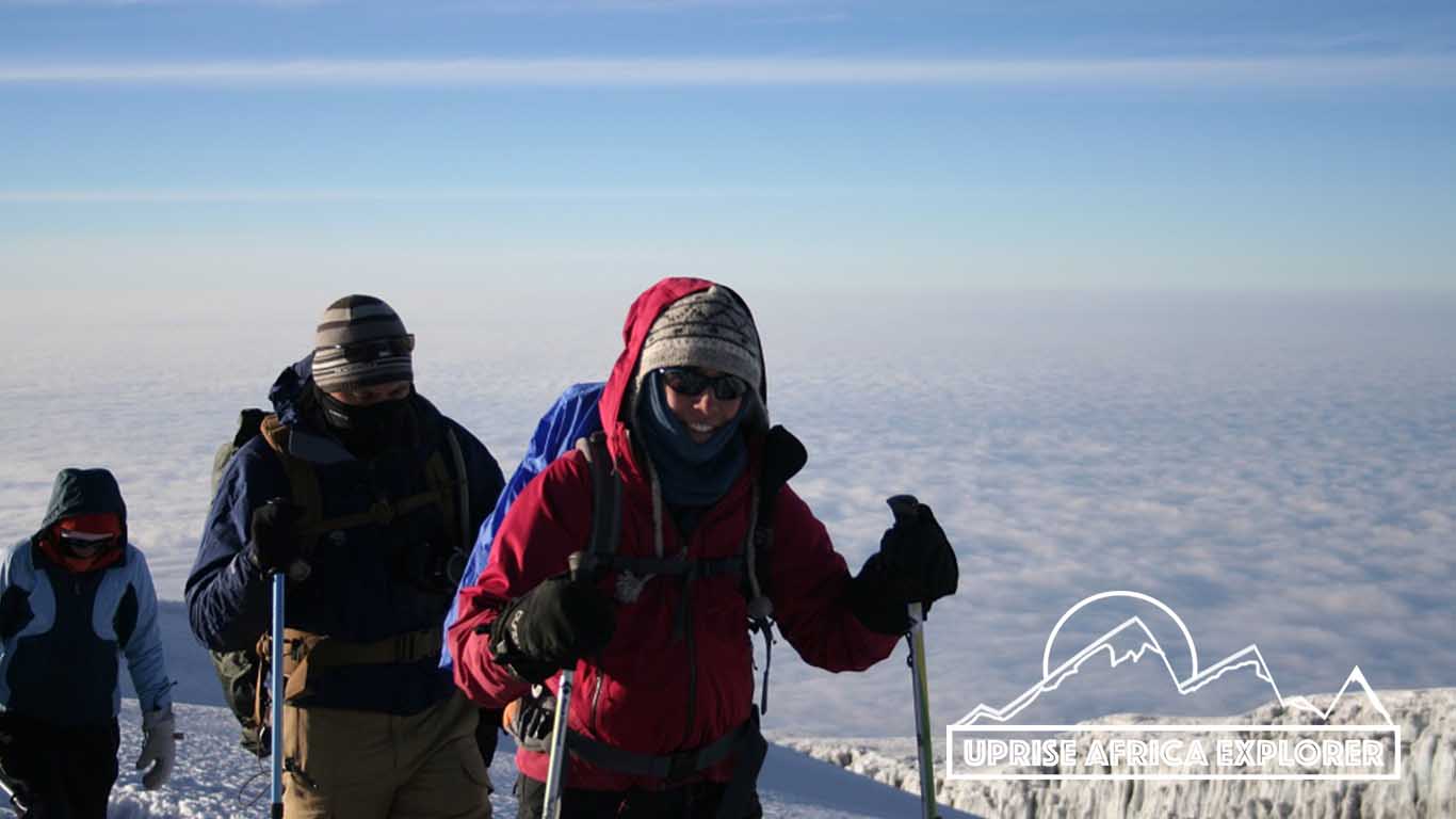 7 days Rongai Route Kilimanjaro Climb