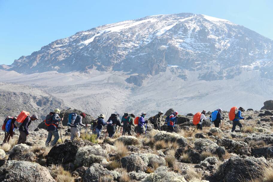 8 Days Lemosho Route Itinerary Kilimanjaro