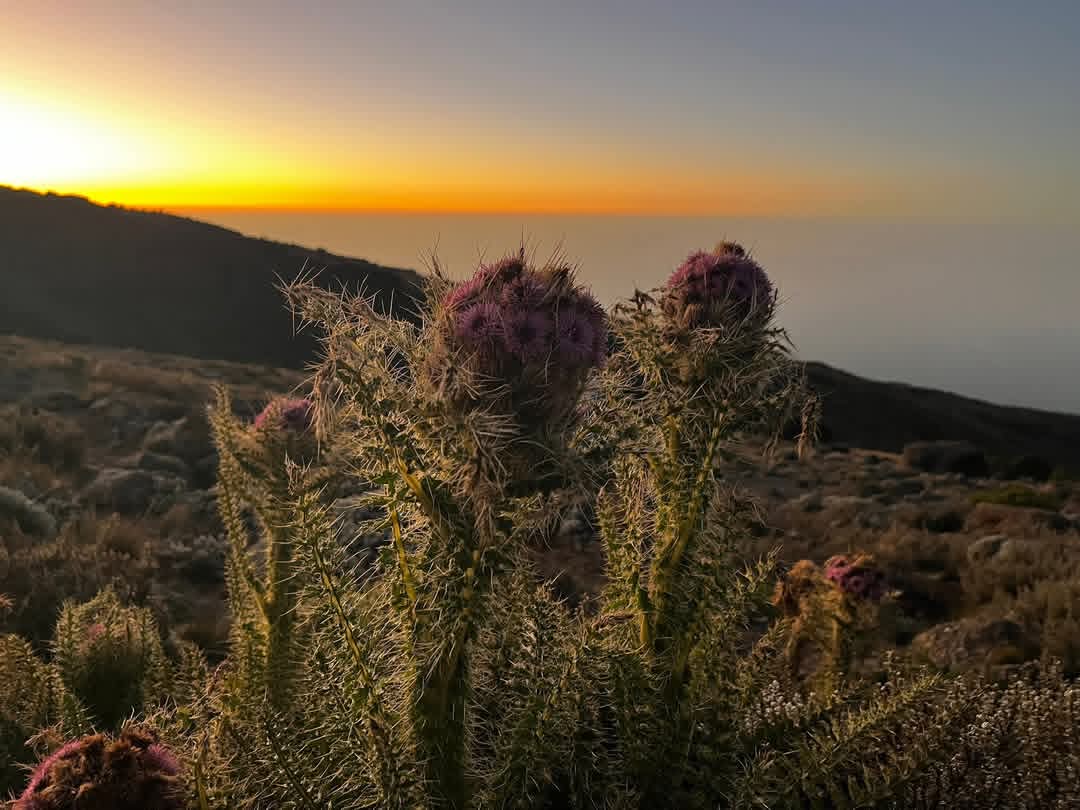 Can You Leave Excess Luggage While Climbing Kilimanjaro?.