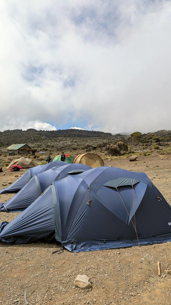 Climbing Kilimanjaro in July: Ultimate 2026 Guide with Uprise Africa Tours
