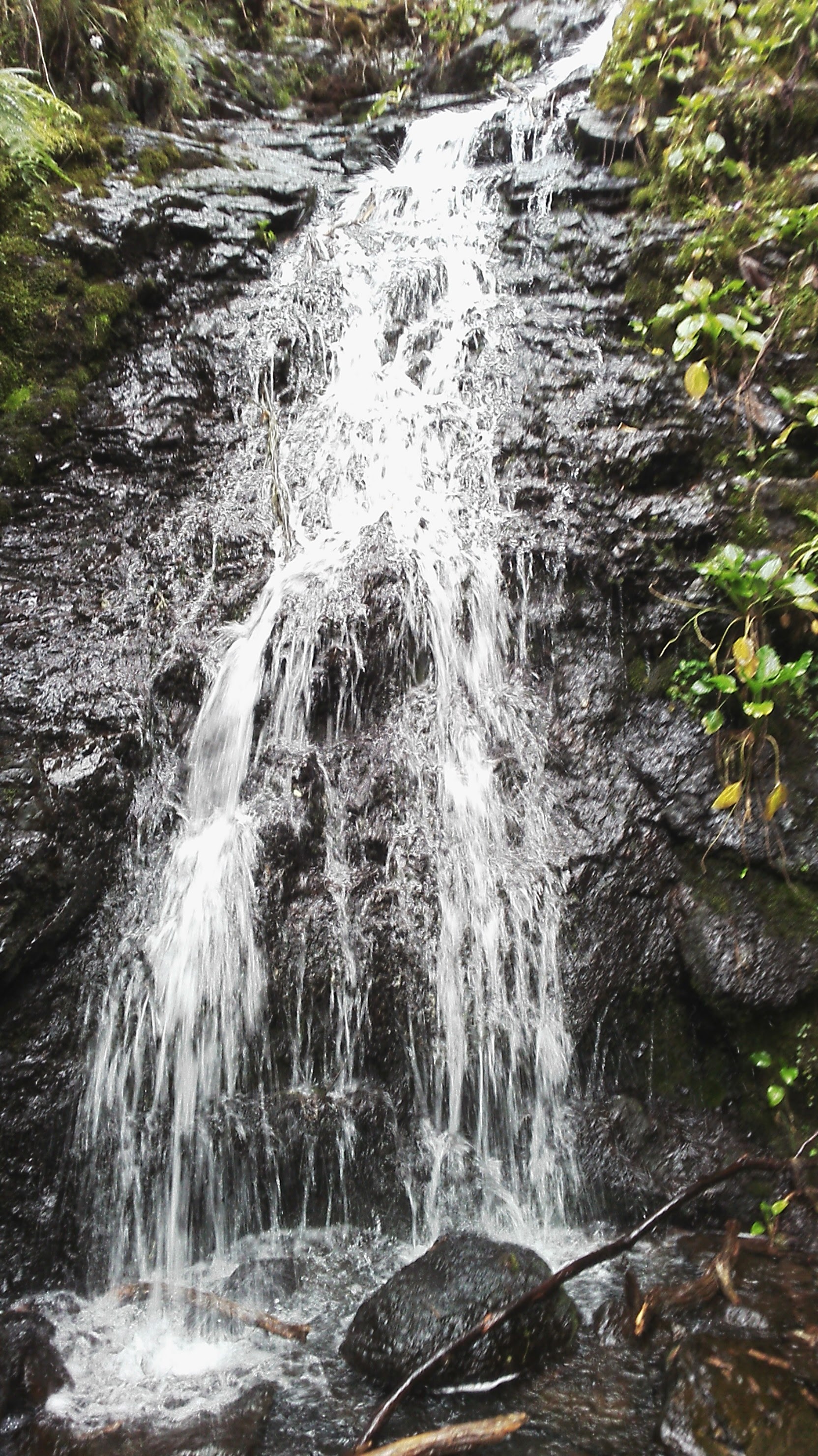 Drinking Water on Kilimanjaro: Hydration Tips and Safety Guide by Uprise Africa Tours