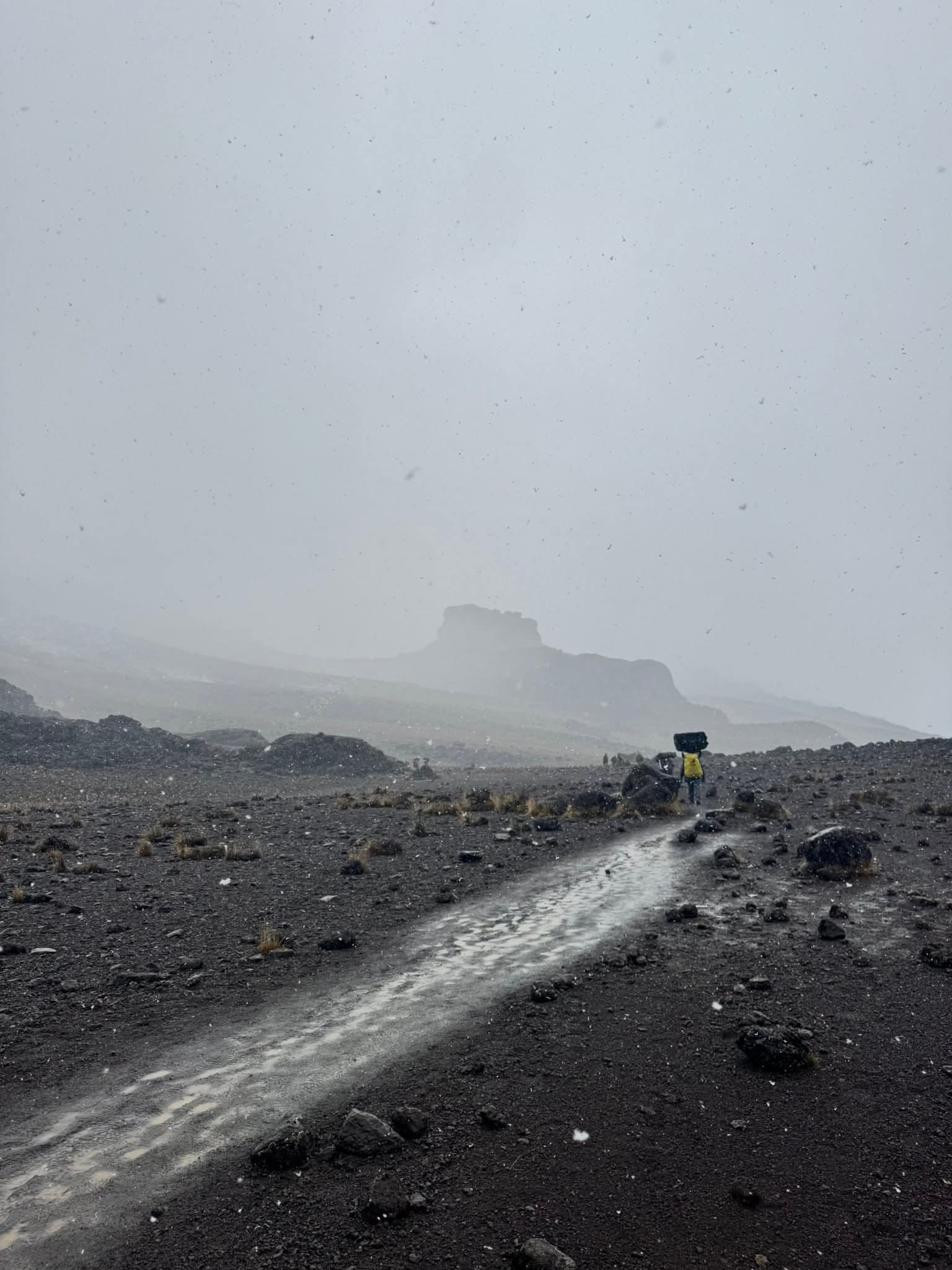 How to Choose a Kilimanjaro Company: Expert Guide by Uprise Africa Tours.