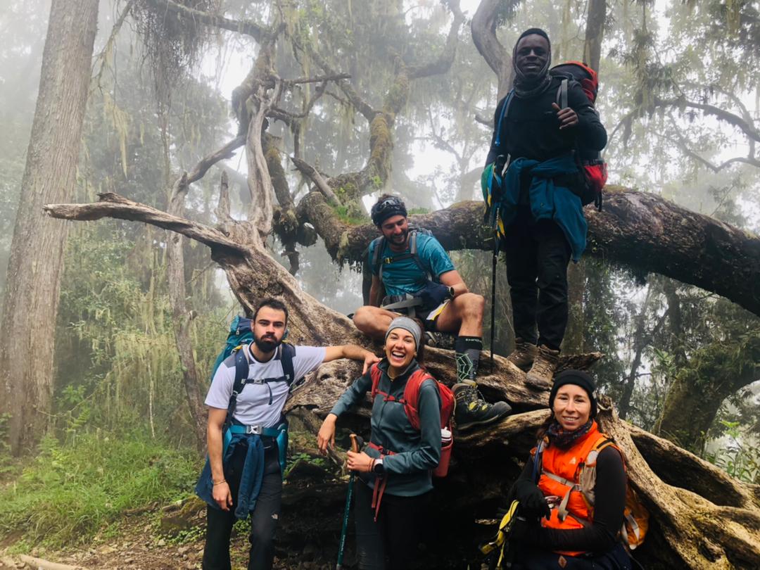 Kilimanjaro Climbs from UK: Complete Guide, Costs & Travel Tips