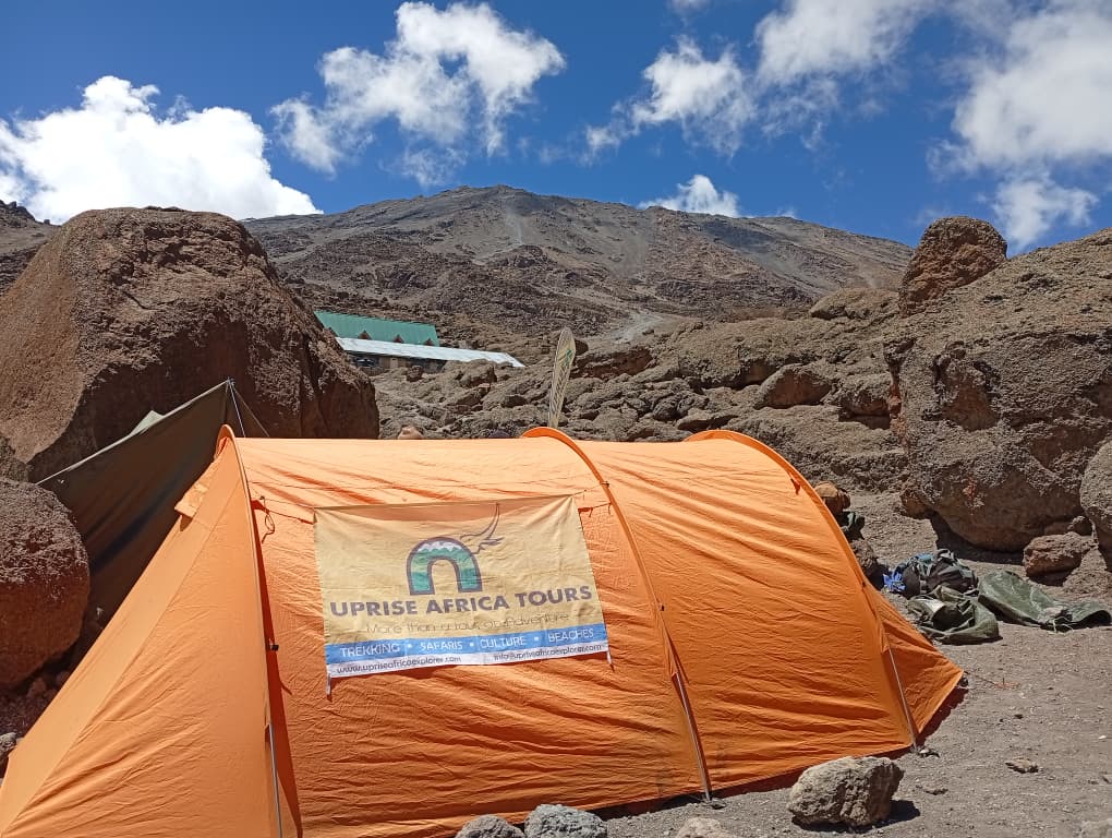 Machu Picchu vs Kilimanjaro: Which Is Harder? Honest Comparison by Uprise Africa Tours.
