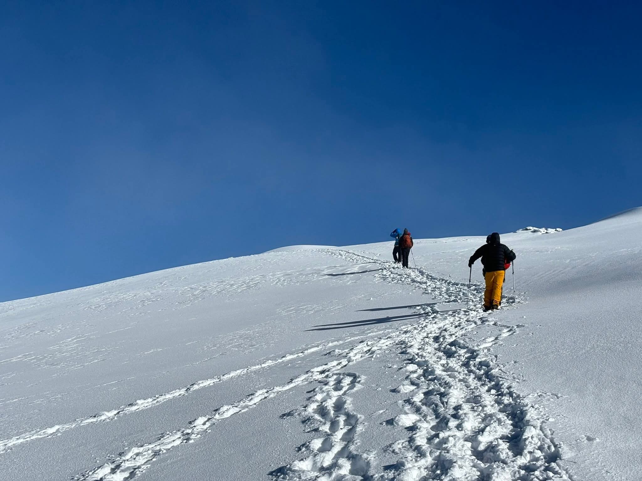 Mount Kilimanjaro Deaths: Causes, Statistics & Kilimanjaro Safety Tips | Uprise Africa Tours