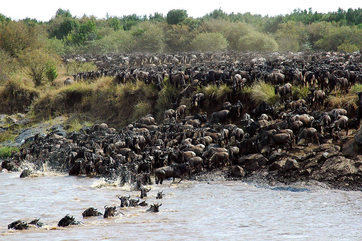 Serengeti National Park