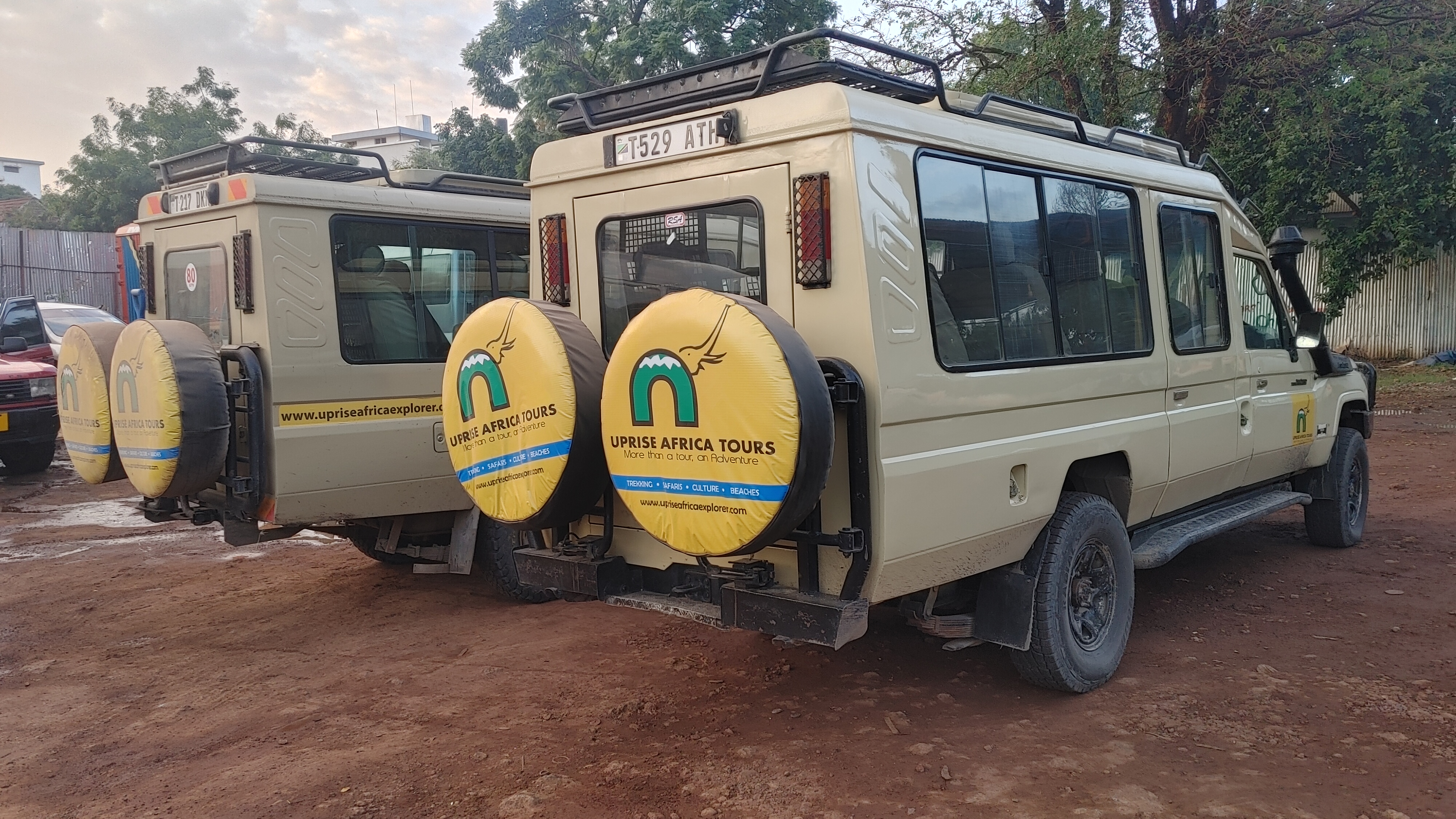 Tanzania Safari Specialists | Uprise Africa Tours