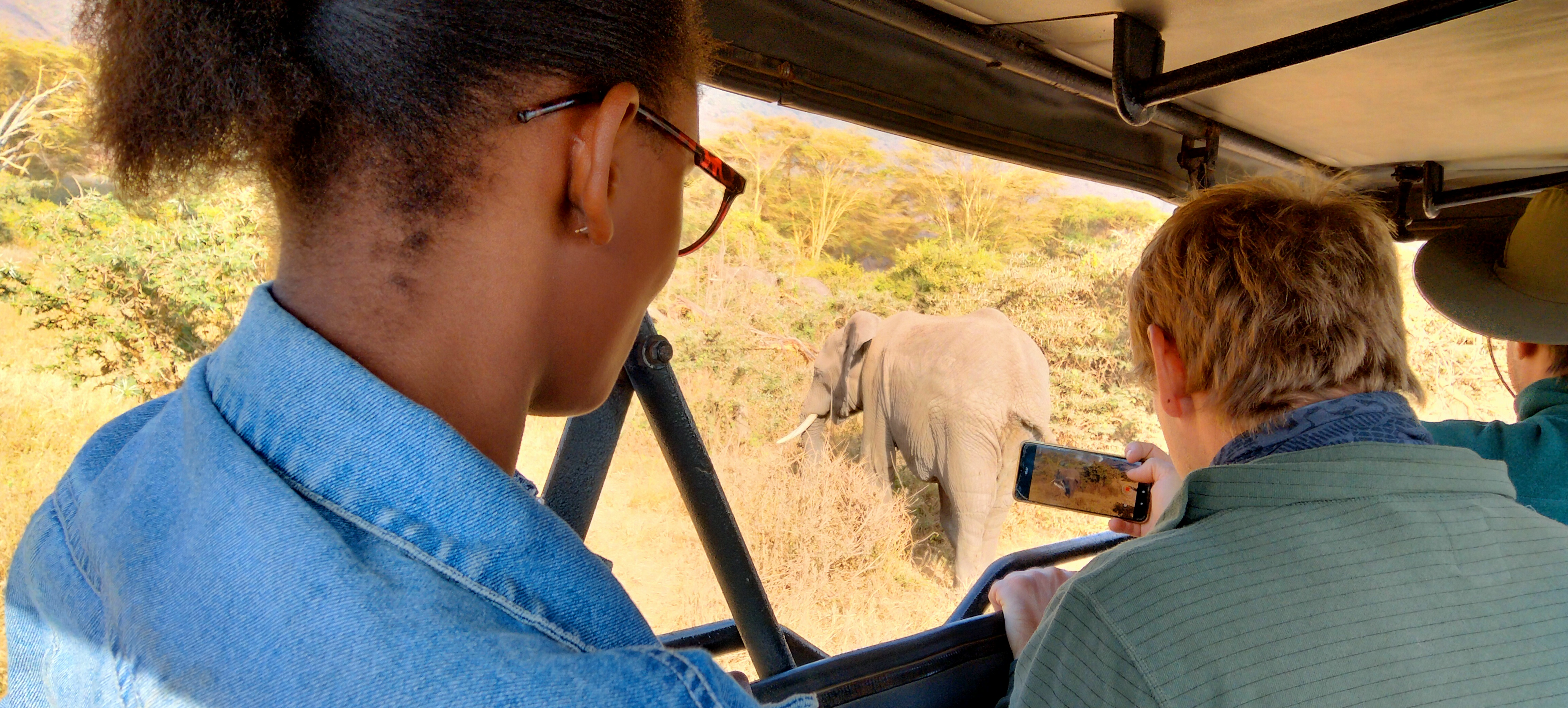 Tarangire National Park Safari | Wildlife, Elephants & Tours &ndash; Uprise Africa Tours