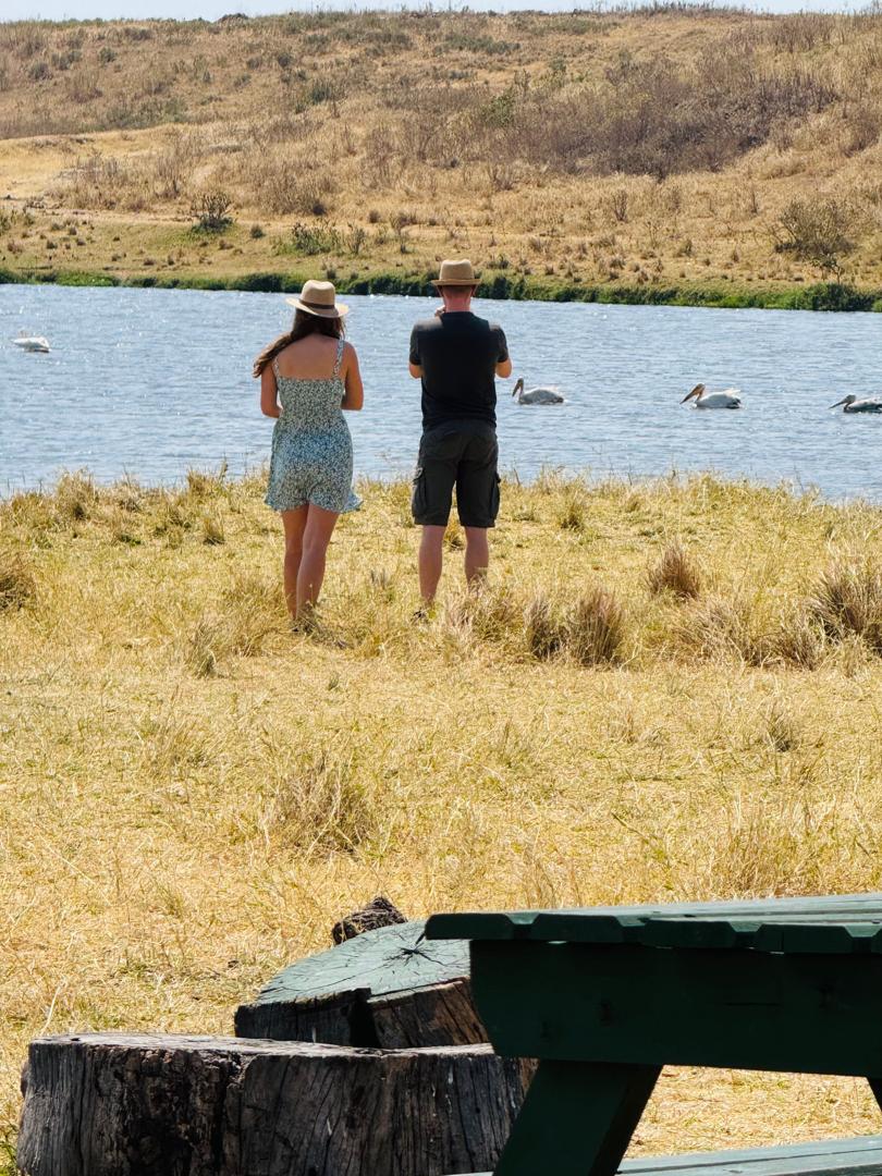 When Is the Great Migration in Africa? Best Time to See It Month by Month | Uprise Africa Tours