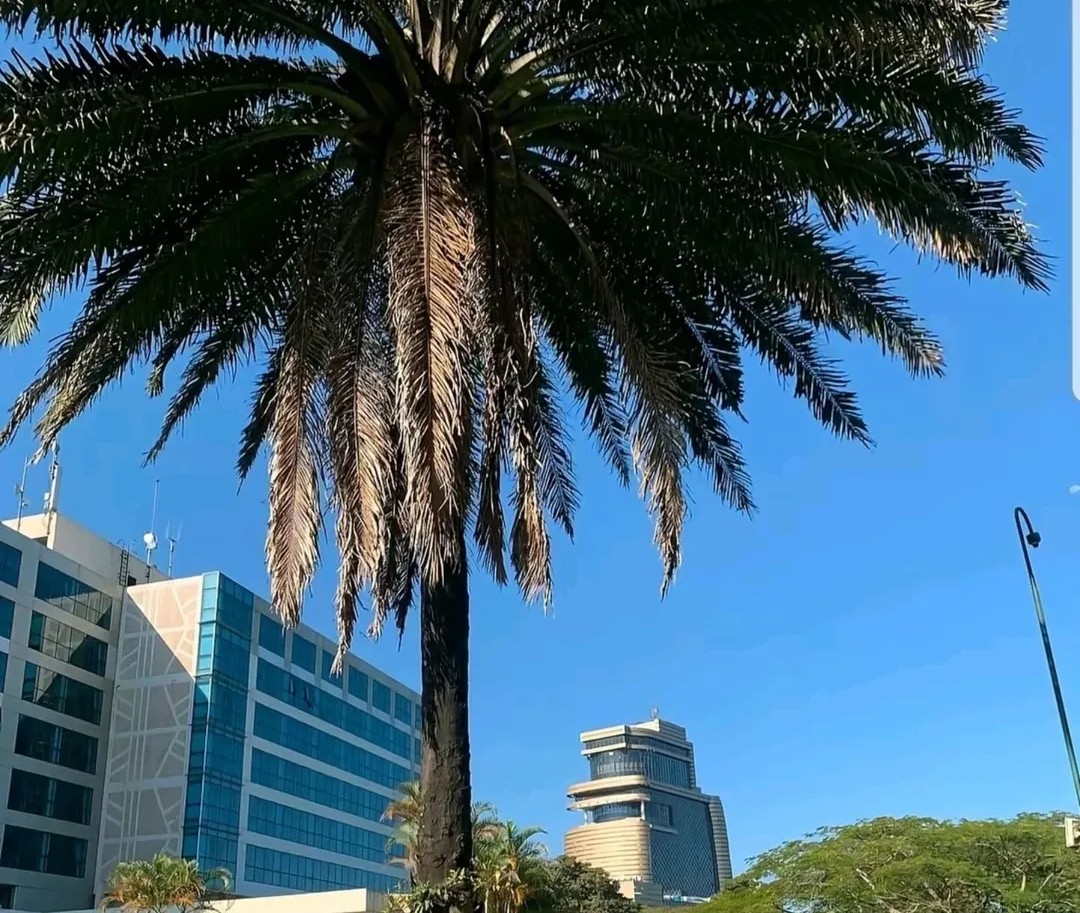 Where to Stay in Arusha Before Kilimanjaro: Complete 2026 Guide